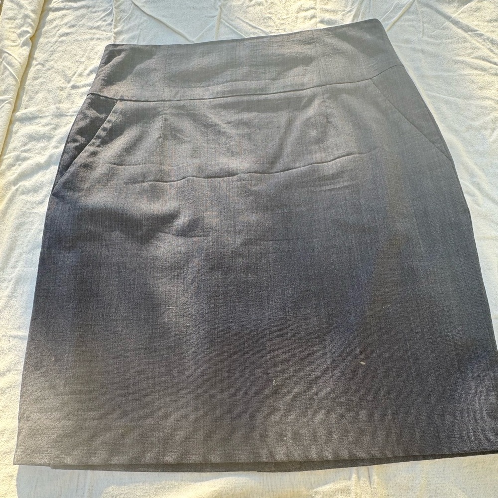 Elegant Gray Women's Skirt